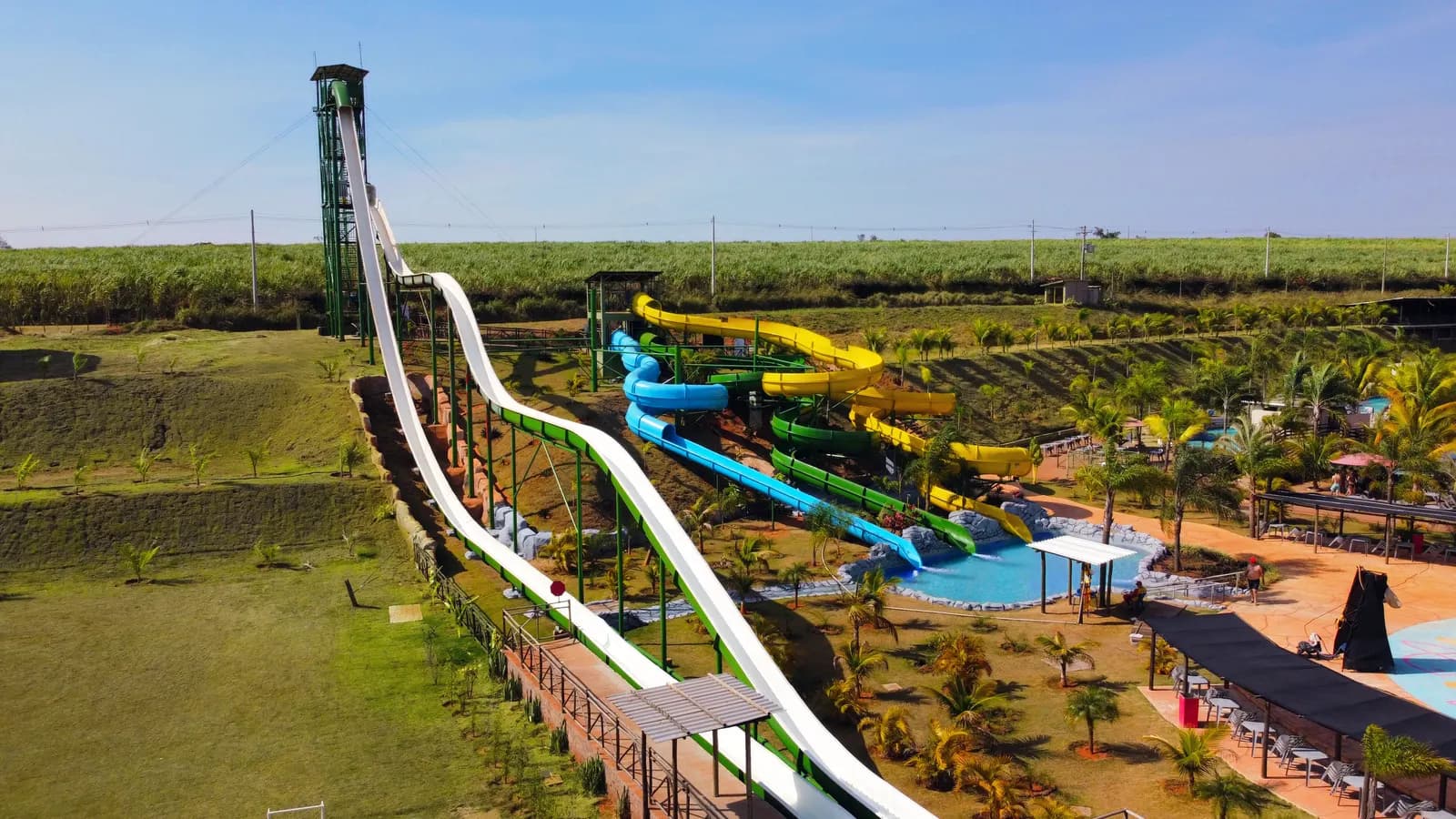Tobogãs Freefall e Kamikaze